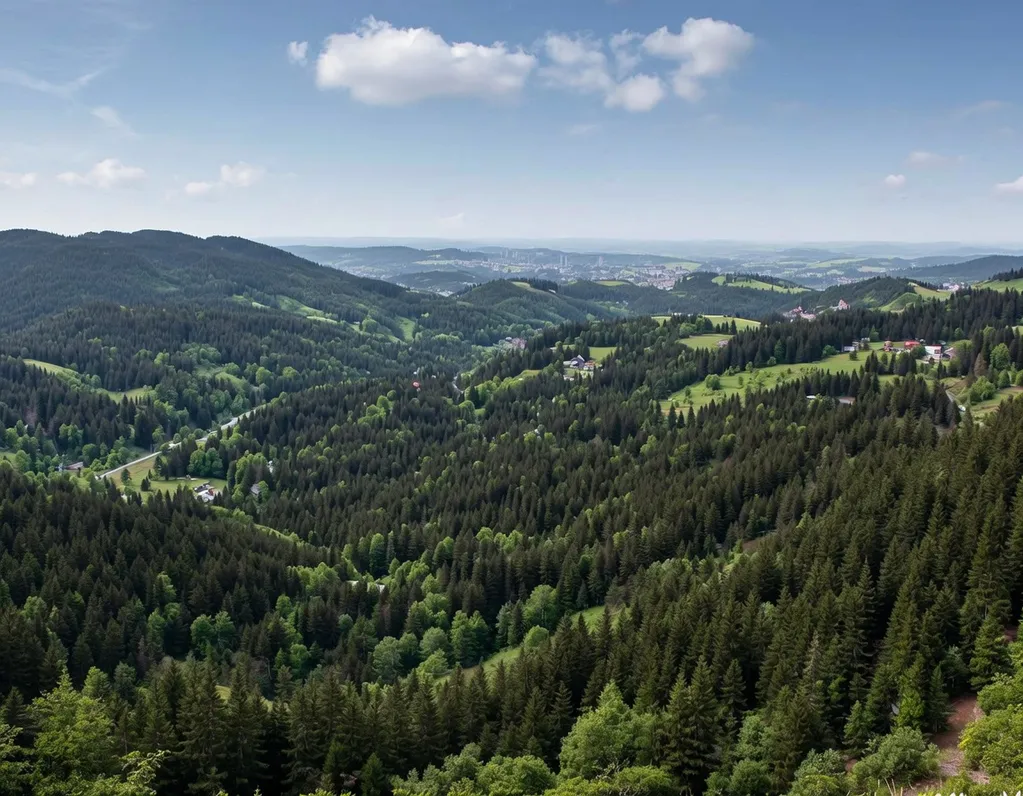 Panoramablick über die Wälder des Hochschwarzwalds